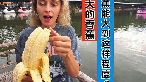 国产视频大香蕉  第2张